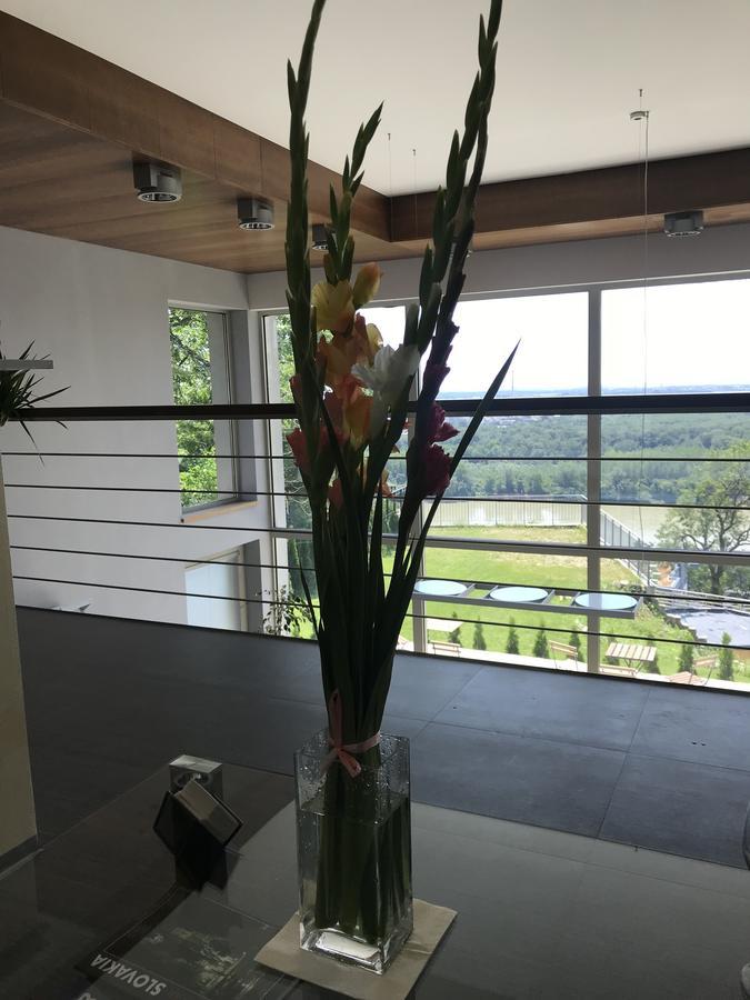River View 3*