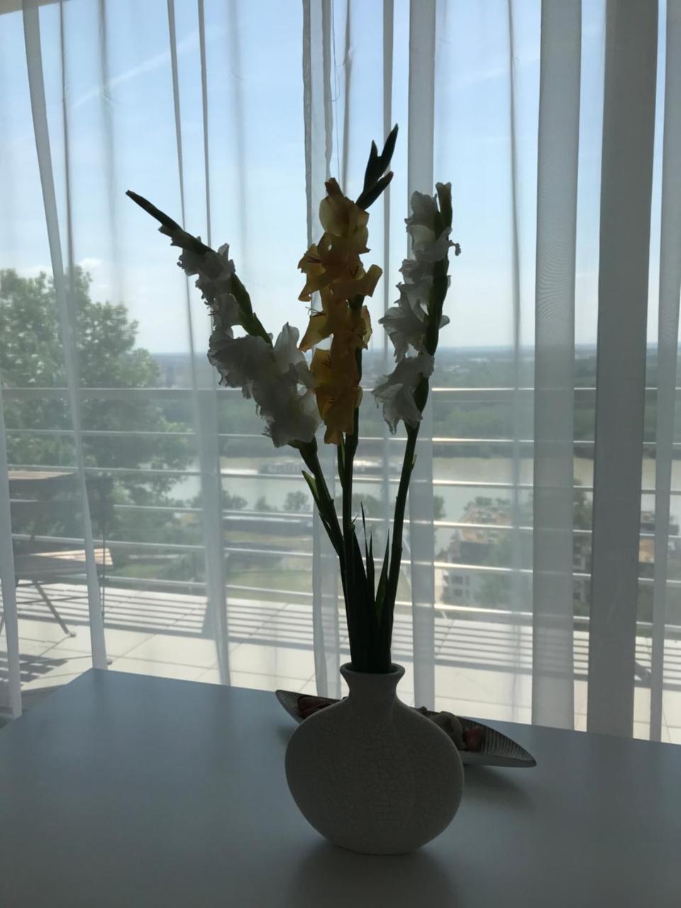 River View Hotel 3*
